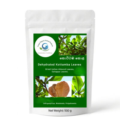 Dried Kottamba/Indian Almond leaves