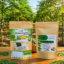 Moringa Tea Bag